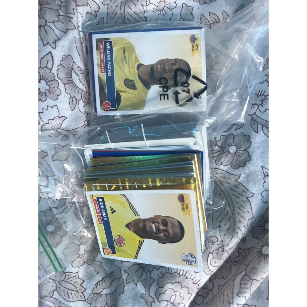 Stickers Lot Cup America 2024